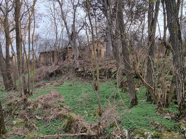 Къща в с. Побит камък, Област Разград - 100 кв.м за 306 €/кв.м - Снимка #1