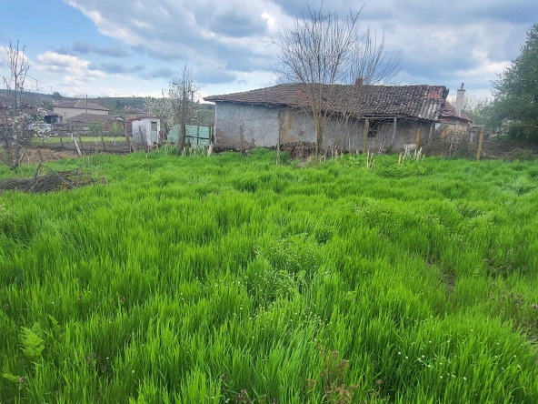 Земеделски имот в с. Княжево, Област Хасково -  кв.м за 6 €/дка - Снимка #1