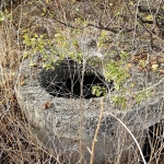 Парцел в Годеч - 1000 кв.м за 24 €/кв.м - Снимка #1