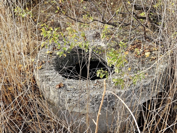 Парцел в Годеч - 1000 кв.м за 24 €/кв.м - Снимка #1