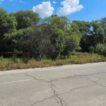 Парцел в с. Кралев дол, Област Перник - 3750 кв.м за 60 €/кв.м - Снимка #1