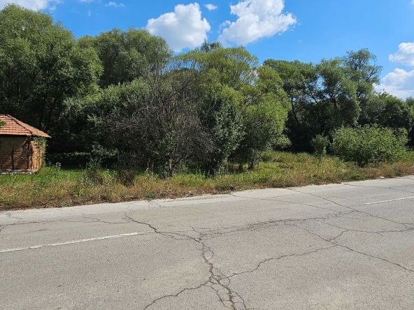 Парцел в с. Кралев дол, Област Перник - 3750 кв.м за 60 €/кв.м - Снимка #1