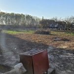 Парцел в с. Биволаре, Област Плевен - 2000 кв.м за 11 €/кв.м - Снимка #1