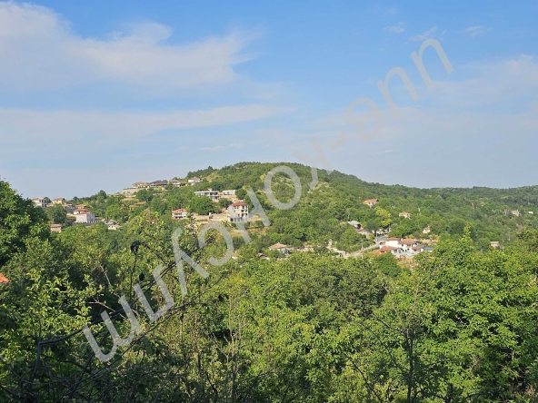 Къща в с. Малки чифлик, Област Велико Търново - 100 кв.м за 1100 €/кв.м - Снимка #1