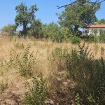 Парцел в с. Друган, Област Перник - 1248 кв.м за 25 €/кв.м - Снимка #1