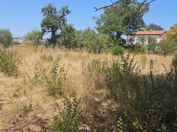 Парцел в с. Друган, Област Перник - 1248 кв.м за 25 €/кв.м - Снимка #1