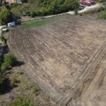 Дава се под наем Парцел в с. Кичево, Област Варна - 6000 кв.м за 204 € - Снимка #1