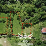 Парцел в с. Тополово, Област Пловдив - 2507 кв.м за 77 €/кв.м - Снимка #1