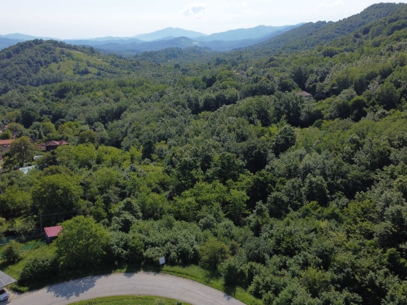 Парцел в Троян - 3074 кв.м за 6 €/кв.м - Снимка #1