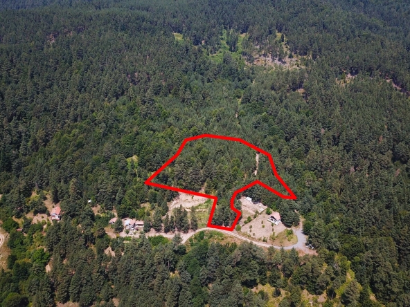 Парцел в Разлог - 3011 кв.м за 19 €/кв.м - Снимка #1