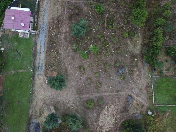 Парцел в Разлог - 1200 кв.м за 35 €/кв.м - Снимка #1