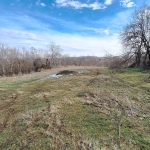 Парцел в Попово - 2500 кв.м за 2 €/кв.м - Снимка #1