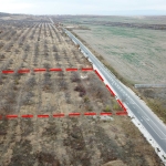 Земеделски имот в Асеновград -  кв.м за 10506 €/дка - Снимка #1