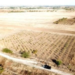 Земеделски имот в Асеновград -  кв.м за 3009 €/дка - Снимка #1