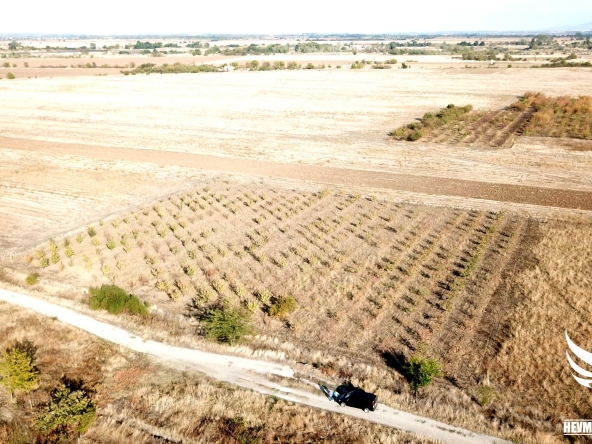 Земеделски имот в Асеновград -  кв.м за 3009 €/дка - Снимка #1