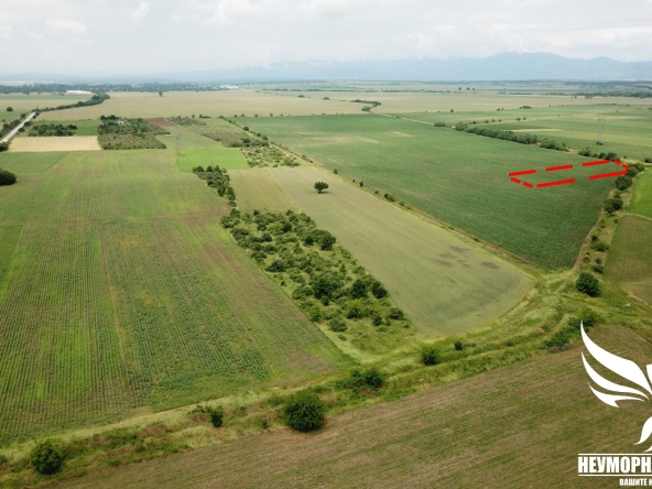 Парцел в с. Царимир, Област Пловдив - 910 кв.м за 3 €/кв.м - Снимка #1