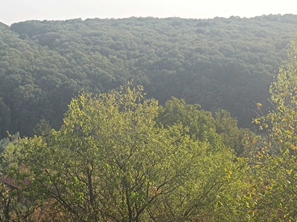 Парцел в Русе, Дружба 1 - 570 кв.м за 32 €/кв.м - Снимка #1