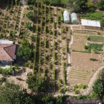 Парцел в с. Ветрен, Област Силистра - 700 кв.м за 11 €/кв.м - Снимка #1