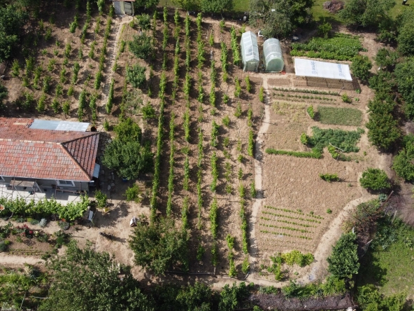 Парцел в с. Ветрен, Област Силистра - 700 кв.м за 11 €/кв.м - Снимка #1