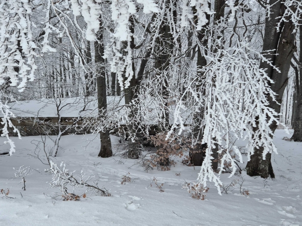 Промишлена сграда в Крън - 158 кв.м за 484 €/кв.м - Снимка #1