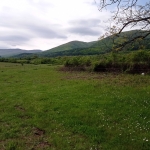 Земеделски имот в Пазарджик, Идеален център -  кв.м за 13 €/дка - Снимка #1