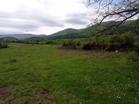 Земеделски имот в Пазарджик, Идеален център -  кв.м за 13 €/дка - Снимка #1