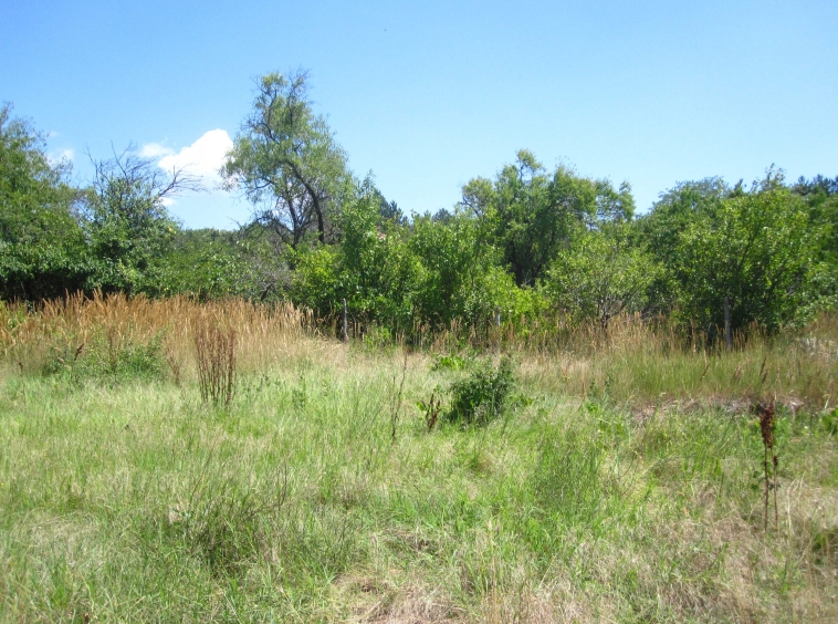 Парцел в Варна, Галата - 3500 кв.м за 70 €/кв.м - Снимка #1