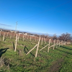 Земеделски имот в Пловдив, Коматевски възел -  кв.м за 70 €/дка - Снимка #1