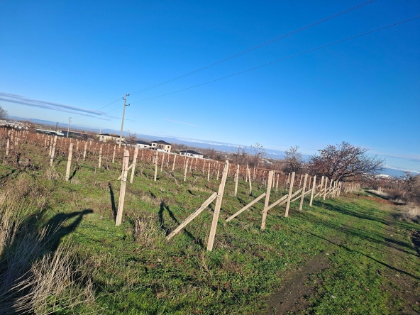 Земеделски имот в Пловдив, Коматевски възел -  кв.м за 70 €/дка - Снимка #1