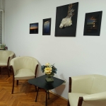 Дава се под наем Офис в София, 7-ми 11-ти километър - 20 кв.м за 8.67 € - Снимка #1