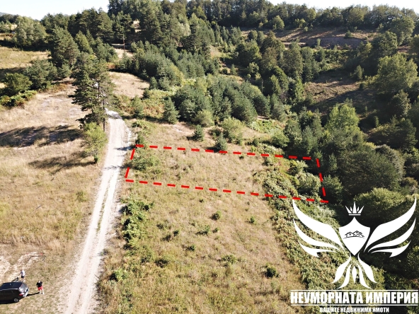 Парцел в с. Мостово, Област Пловдив - 868 кв.м за 52 €/кв.м - Снимка #1