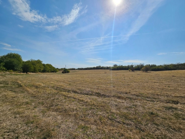 Парцел в с. Беляковец, Област Велико Търново - 3700 кв.м за 6 €/кв.м - Снимка #1