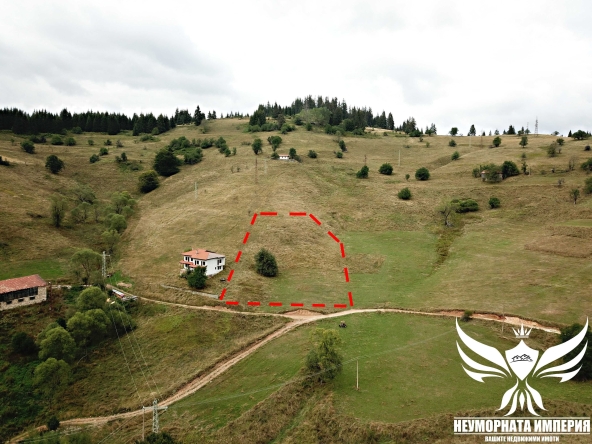 Парцел в с. Проглед, Област Смолян - 3000 кв.м за 14 €/кв.м - Снимка #1