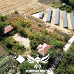 Парцел в с. Ахматово, Област Пловдив - 993 кв.м за 8 €/кв.м - Снимка #1