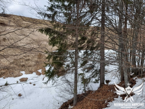 Парцел в с. Проглед, Област Смолян - 1500 кв.м за 11 €/кв.м - Снимка #1