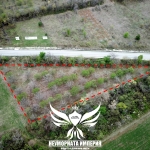 Земеделски имот в с. Червен, Област Пловдив -  кв.м за 6197 €/дка - Снимка #1