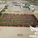 Земеделски имот в Асеновград -  кв.м за 21012 €/дка - Снимка #1