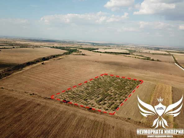 Парцел в с. Нови извор, Област Пловдив - 24500 кв.м за 1 €/кв.м - Снимка #1