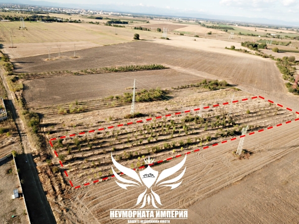 Парцел в с. Крумово, Област Пловдив - 8000 кв.м за 11 €/кв.м - Снимка #1