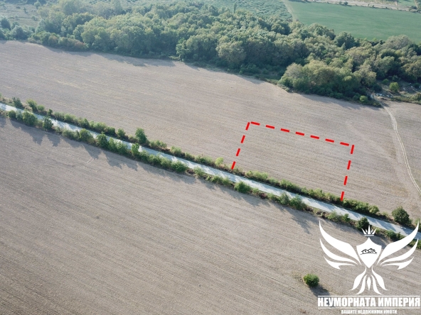 Парцел в с. Тополово, Област Пловдив - 5000 кв.м за 5 €/кв.м - Снимка #1