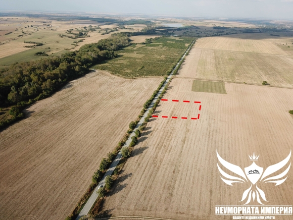 Парцел в с. Тополово, Област Пловдив - 4000 кв.м за 3 €/кв.м - Снимка #1