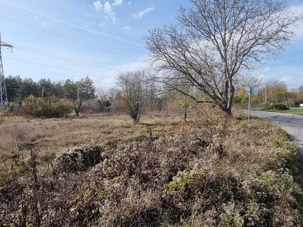 Парцел в Разград, Промишлена зона - Изток - 3376 кв.м за 12 €/кв.м - Снимка #1