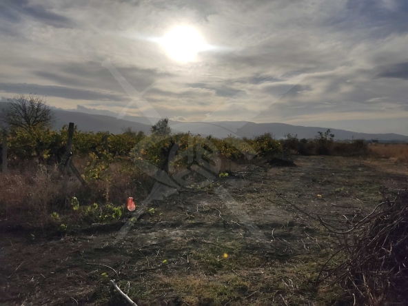 Парцел в с. Марково, Област Пловдив - 1760 кв.м за 29 €/кв.м - Снимка #1