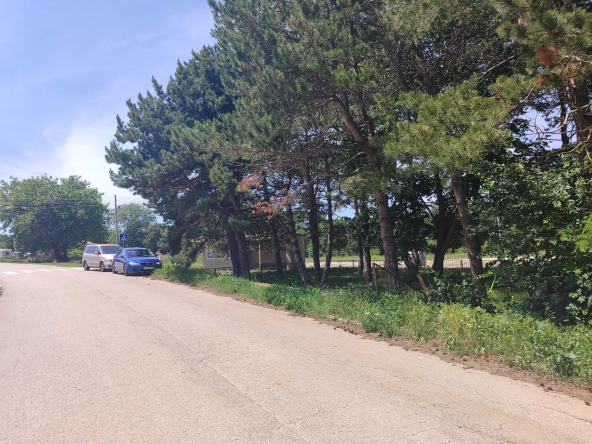 Парцел в с. Бежаново, Област Добрич - 1750 кв.м за 3 €/кв.м - Снимка #1