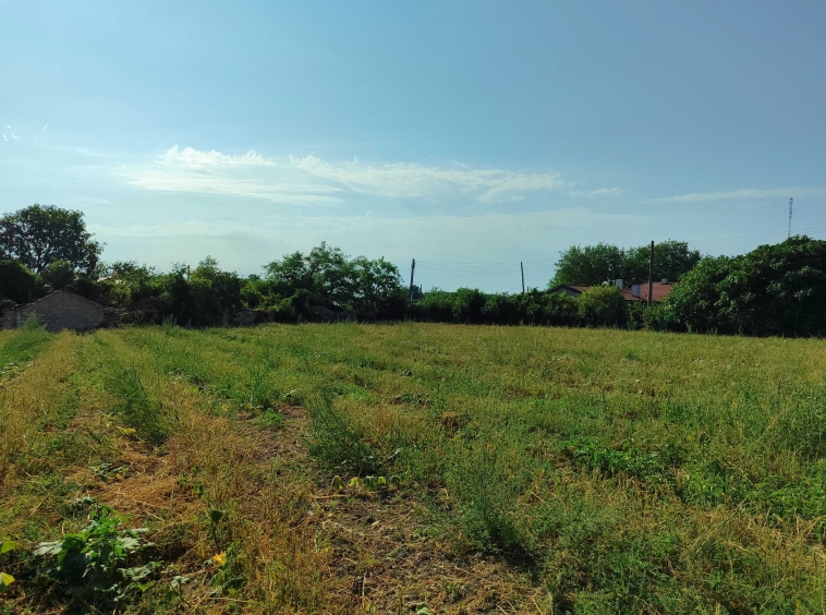 Парцел в с. Българево, Област Добрич - 1000 кв.м за 20 €/кв.м - Снимка #1
