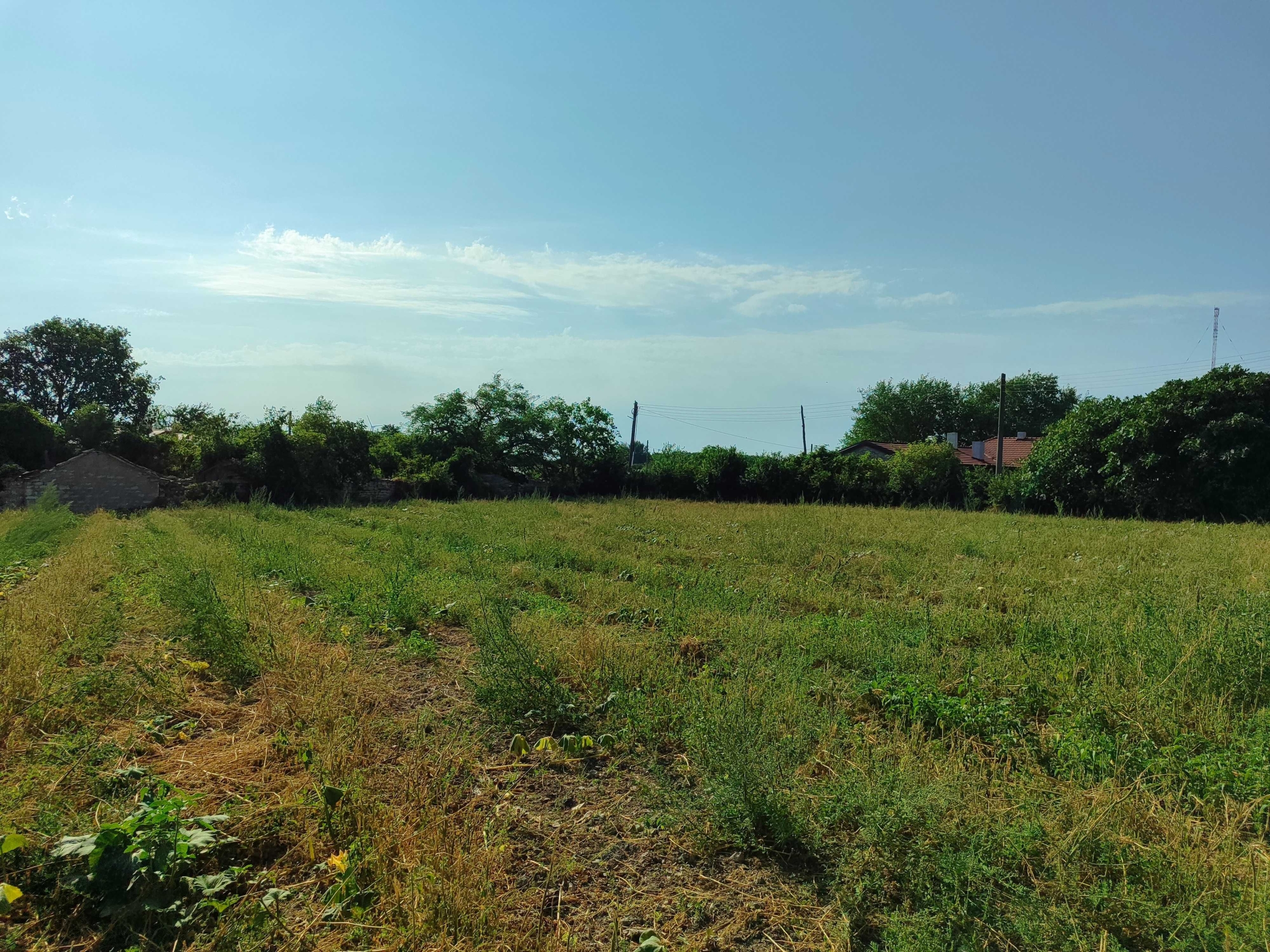 Парцел в с. Българево, Област Добрич - 1000 кв.м за 20 €/кв.м - Снимка #1