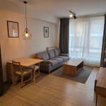 Дава се под наем Тристаен апартамент в София, Витоша - 80 кв.м за 777.75 € - Снимка #1