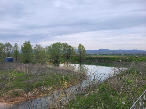 Земеделски имот в с. Памидово, Област Пазарджик -  кв.м за 5465 €/дка - Снимка #1