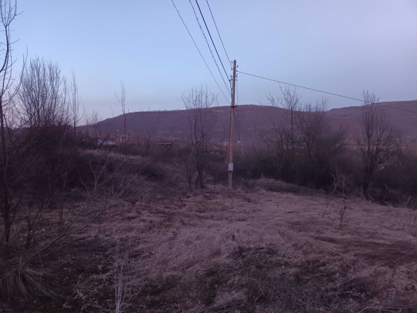 Къща в с. Рогачево, Област Добрич - 700 кв.м за 34 €/кв.м - Снимка #1