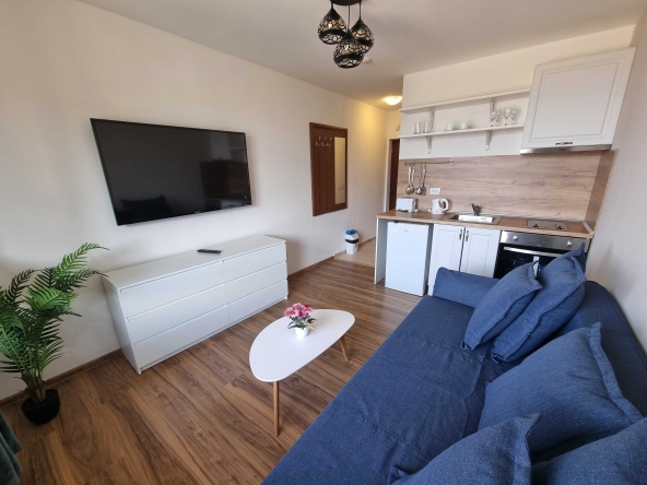 Едностаен апартамент в Банско - 26 кв.м за 667 €/кв.м - Снимка #1